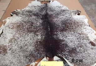 皮革進口總代理直銷 品質、服務與供應鏈的完美融合